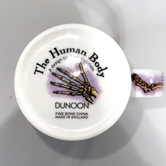 NEW Dunoon Glencoe Bone China Human Body Coffee Cup. - Picture 7 of 8